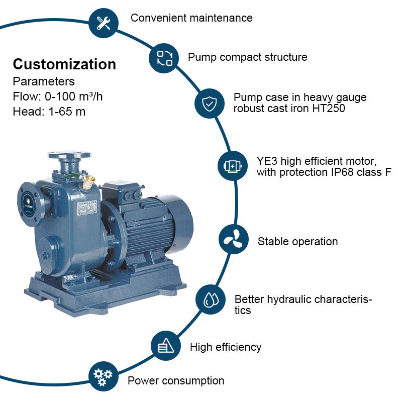 BZ series large flow clean water self-priming pump