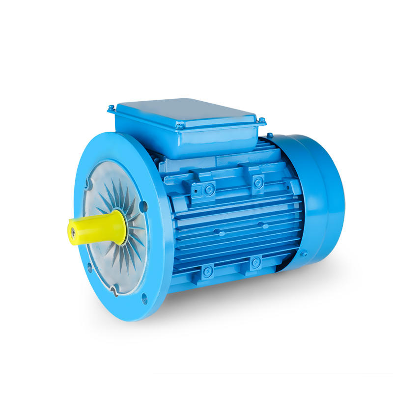 YL Series Two-Valve Capacity Induction Motor with flange mounting