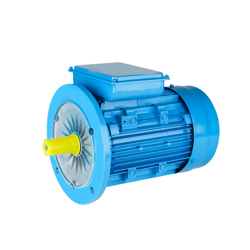 YL Series Two-Valve Capacity Induction Motor with flange mounting