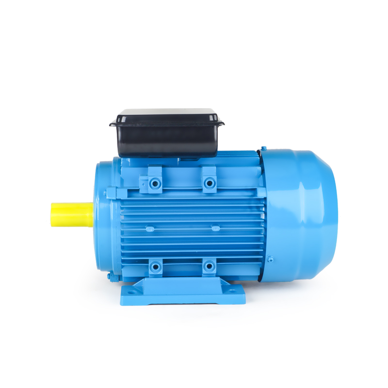 Wholesale YC Series Single Phase Induction Motor with Starting ...