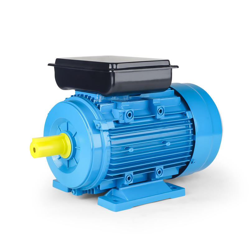 YC Series Single Phase Induction Motor with Starting Capacitor