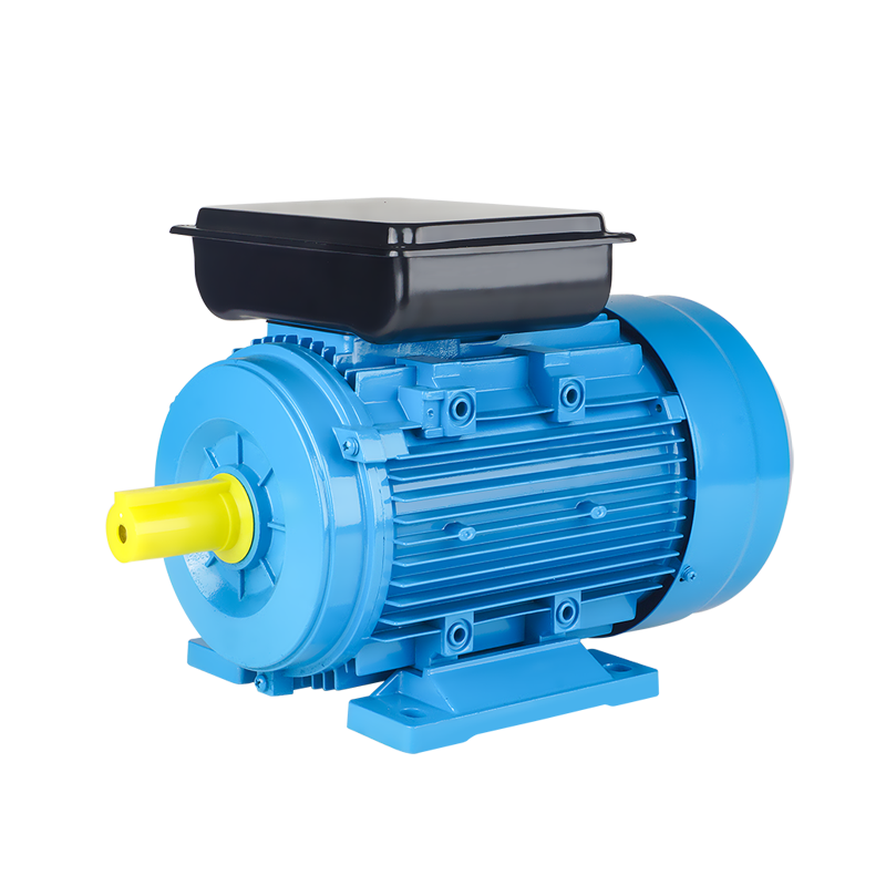YC Series Single Phase Induction Motor with Starting Capacitor