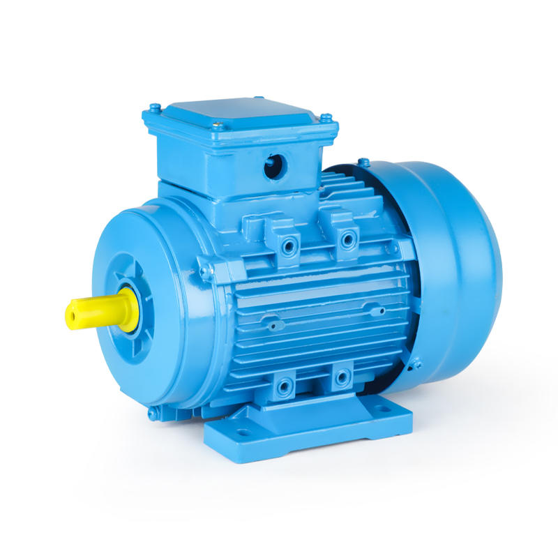 YE2 High Efficiency Three Phase Induction Electric Motor