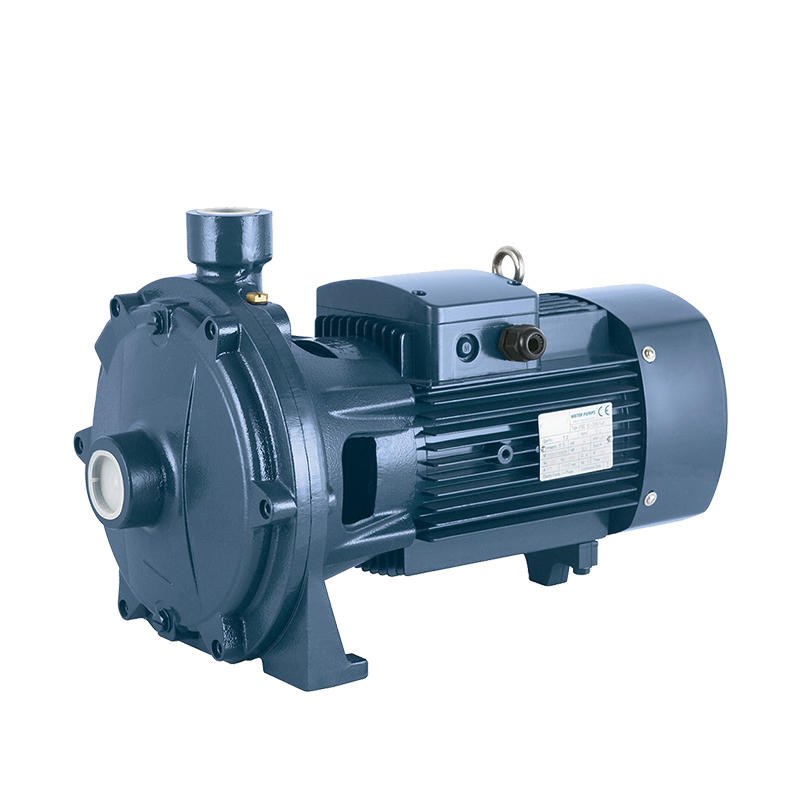What You Should Know About Double Impeller Pumps