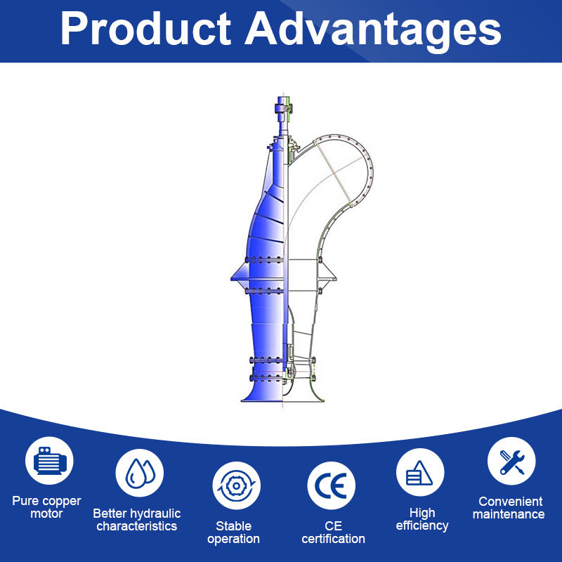 ZL Series Vertical Axial Flow Water Pump