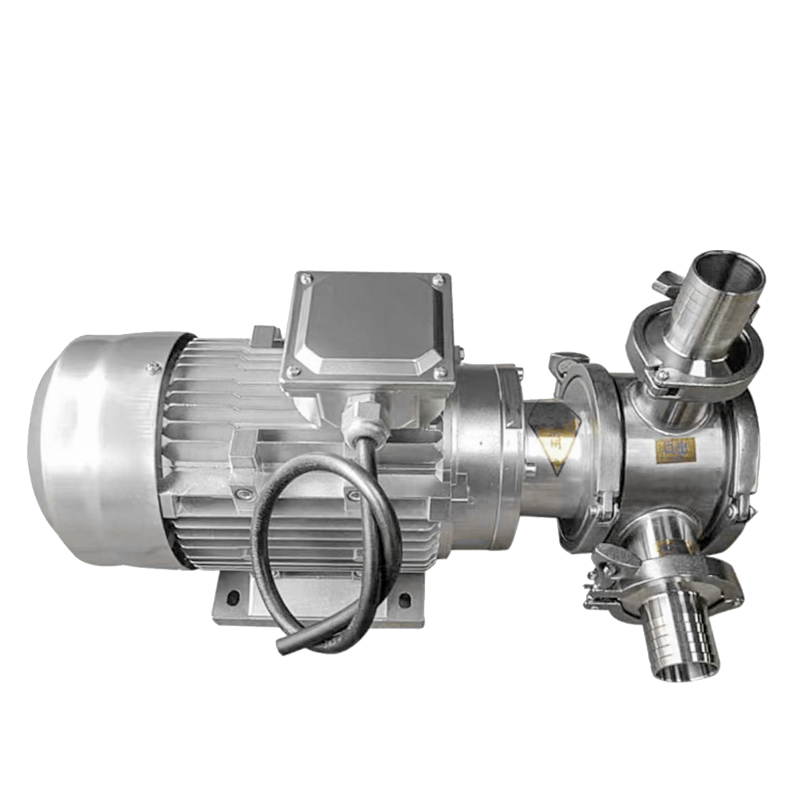 RZB Flexible Rotor Pump