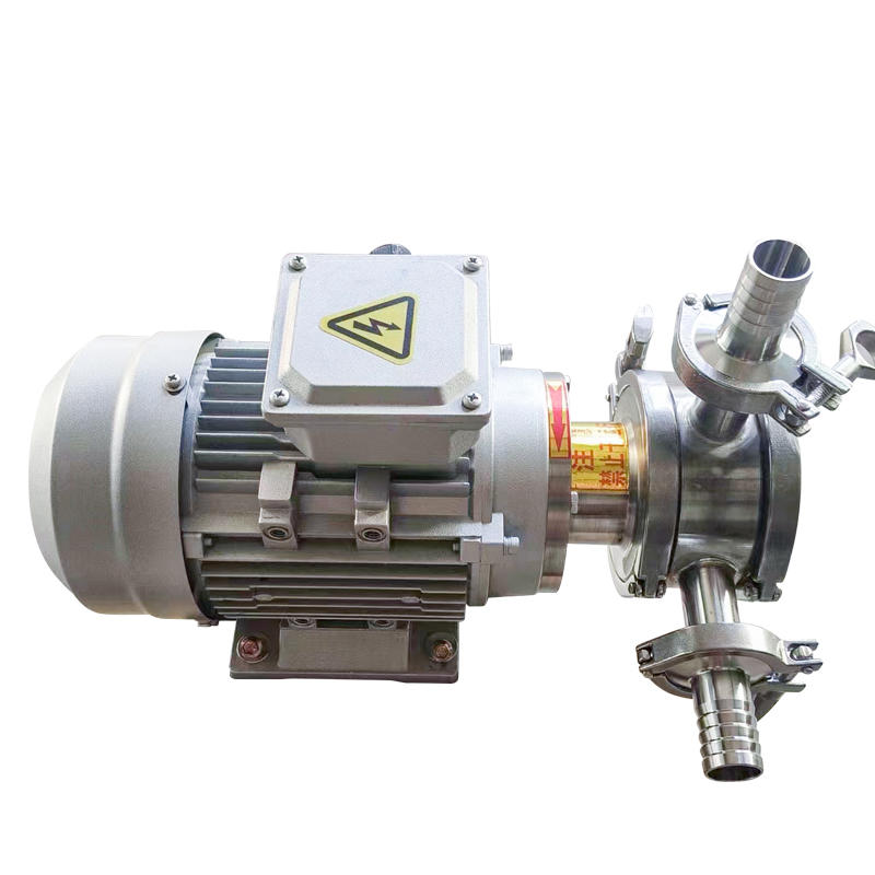 RZB Flexible Rotor Pump
