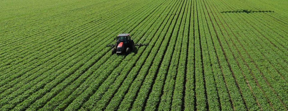 Which water pump is best for agriculture?