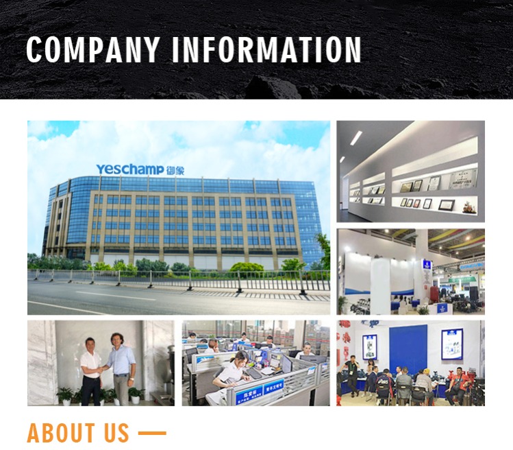 Our Company 