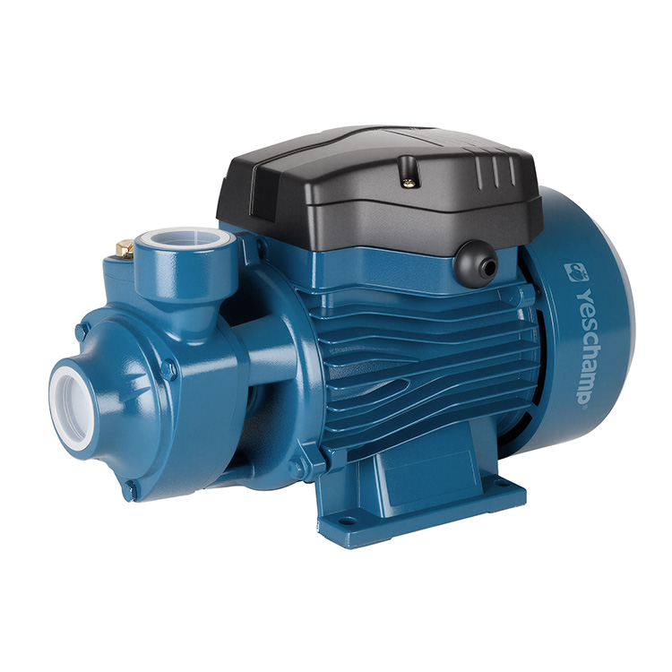 Horizontal Vortex Electric Domestic Pump with Brass Impeller OEM Supported for Booster Use Copper Wire Included
