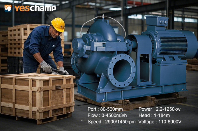 Split Case Pump vs. End Suction Pump: Key Differences Explained