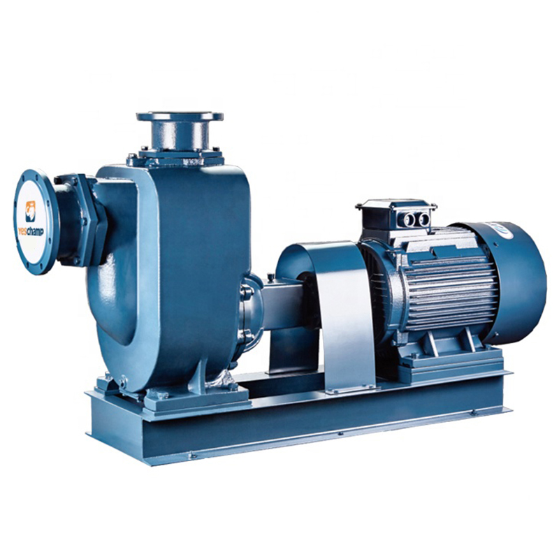 Horizontal Self-Priming Non-Blocking Sewage Pump