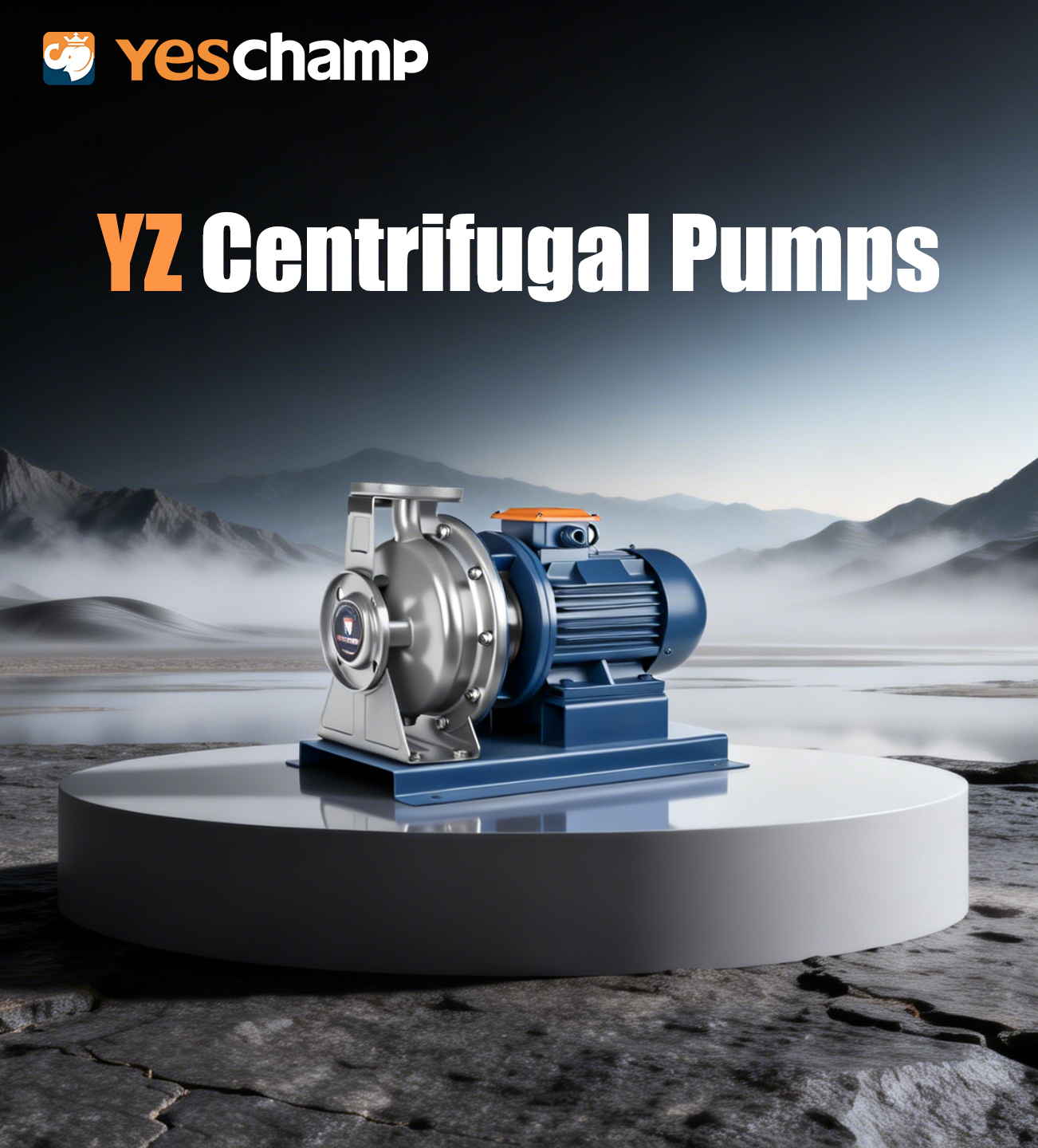 Stainless Steel Standard Pump Sizing & Selection Guide
