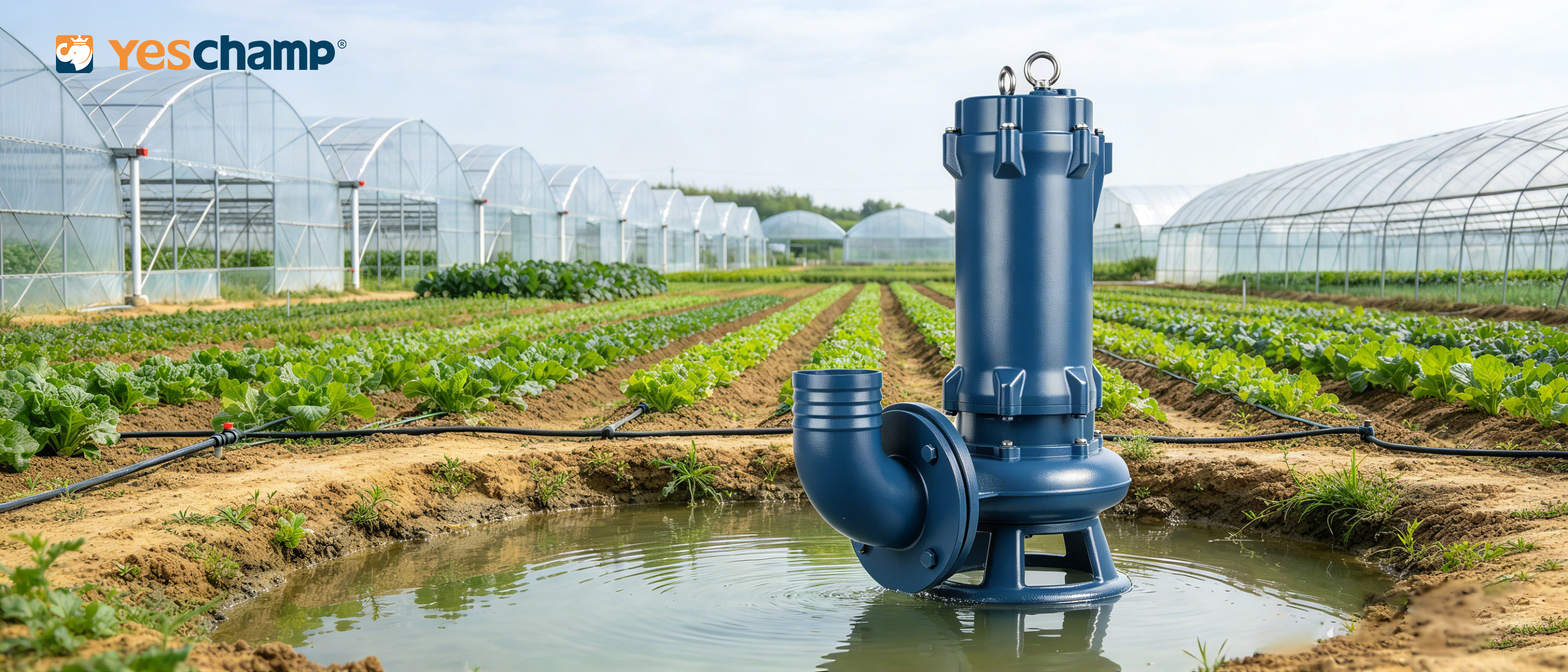WQ Submersible Sewage Pump: Selection, Installation, and Maintenance Guide